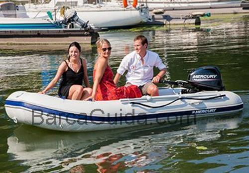 Mercury 310 Air Deck scheda tecnica e recensioni